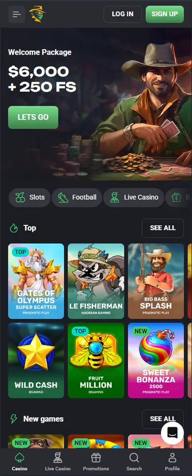 SlotHunter Casino mobile view